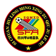 四川全兴甲A明星队