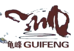 江西省弋阳县龟峰足球队