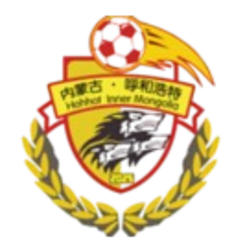 内蒙古呼和浩特市后窑子村足球队