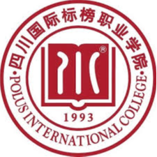 四川国际标榜职业学院女足