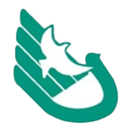 华南师大附中U13