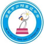 合肥市庐阳高级中学U17