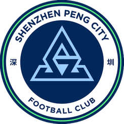 深圳新鹏城翠园U13