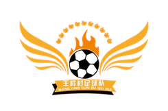 王岭村足球队