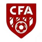 广东和平县合水村足球队