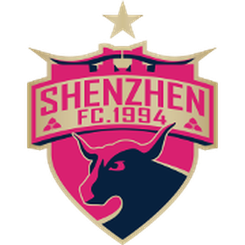 深圳队(已退出)