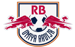 RB大宫松鼠青年队