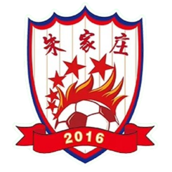 山东朱家庄村足球队