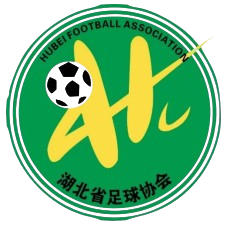 湖北足协U15