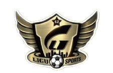 深圳传承明星队