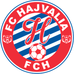 哈哲沃利亚女足