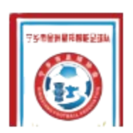 湖南省宁乡市金洲星邦智能足球队