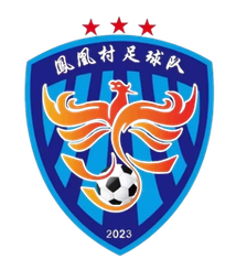 凤凰村足球队