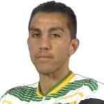 卡斯特格里奥内