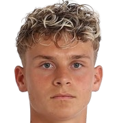 伊布拉希莫维奇