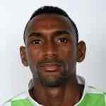 耶西德·梅纳·帕洛米克