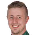 达里·史弗里森