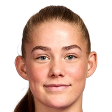 海达尔斯多蒂尔