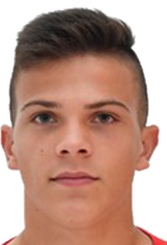 莱昂纳多·彼得罗维奇