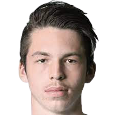 维克多·奥德吉森