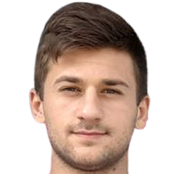 斯尔布利诺维奇