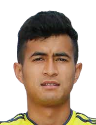 詹姆斯·林道·金希