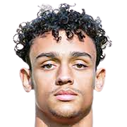 加尔韦斯-迪亚拉