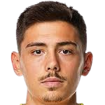 哈迪兹卡杜尼奇