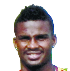 埃尔金·斯科比