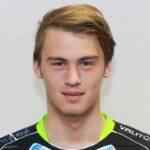 范纳尔·比约文森