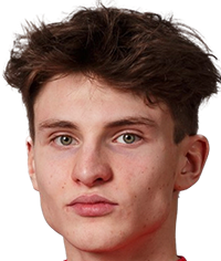 沃伊蒂诺维奇斯