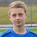 兰多·卡勒斯特