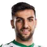 思南·阿克迪尼兹