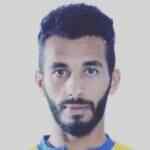 阿博尔·马格德·波莎