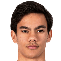 维尔德米尔斯齐