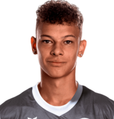 斯托季尔科维奇