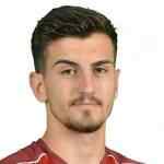 加泰林·都铎里卡