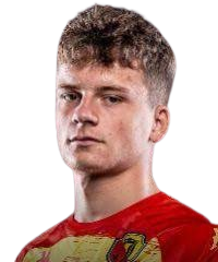 沃伊达科夫斯基