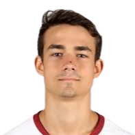 夏皮罗·汤普森