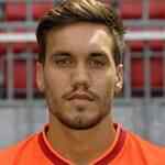 德特莱夫·哈梅尔