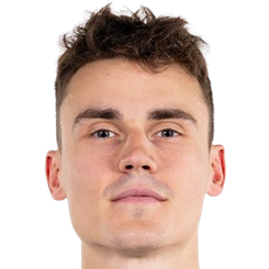 迪米特里耶维奇