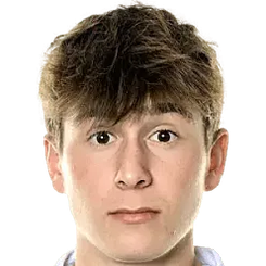 ​​维达尔松​​