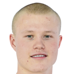 莱纳斯·霍姆斯特罗姆