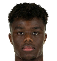 安德森·卢科基