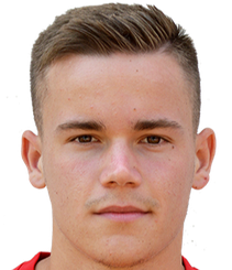 德拉古蒂诺维奇