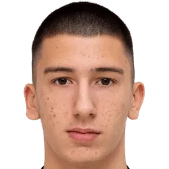 拉多萨夫列维奇