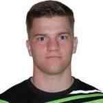 弗拉迪米尔扎莫