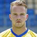 范·莫塞尔维尔德