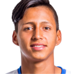 埃德森·里瓦斯