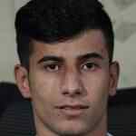 穆罕默德·帕纳西